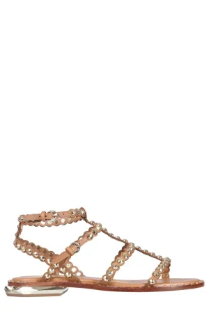 Ash Pamela Stud Embellished Sandals